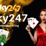 Sky247 Login: Simple Steps to Get Started Online